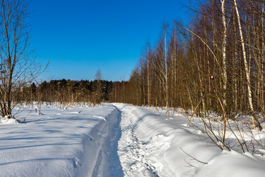 Similar image 21382249