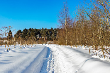 Similar image 21382252