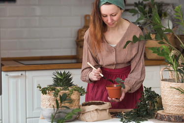 Similar image 21384396