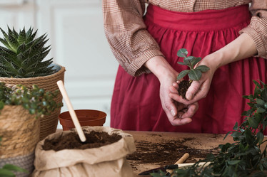 Similar image 21422448