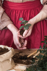 Similar image 21384401