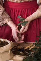 Similar image 21422451