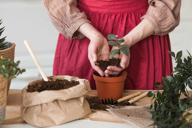 Similar image 21422454