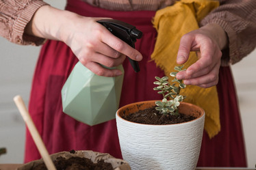 Similar image 21384404