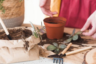 Similar image 21384416