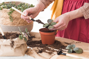 Similar image 21421652