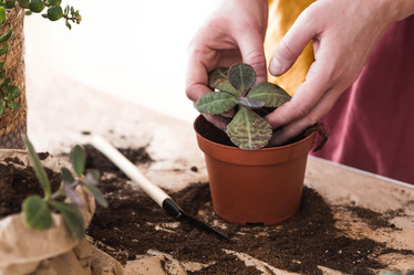 Similar image 21421654