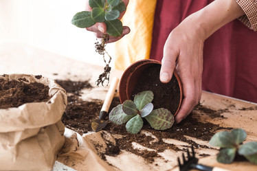 Similar image 21384419