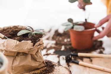 Similar image 21384422