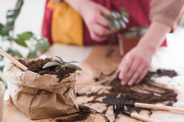 Similar image 21384424