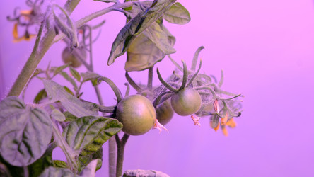 Similar image 21388603