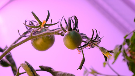 Similar image 21388604