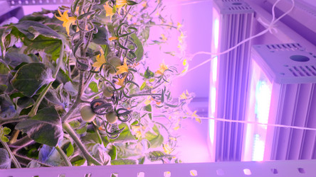 Similar image 21388605