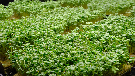 Similar image 21388606