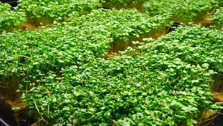 Similar image 21388607