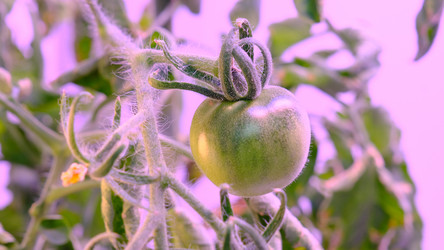 Similar image 21388608