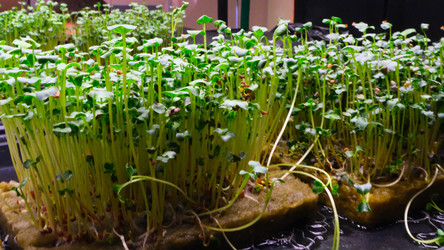 Similar image 21388609