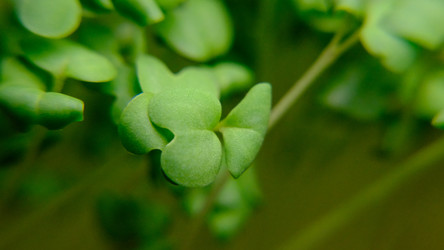 Similar image 21388610