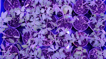 Similar image 21388612