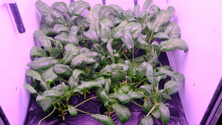 Similar image 21388613