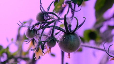 Similar image 21388614