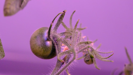 Similar image 21388615