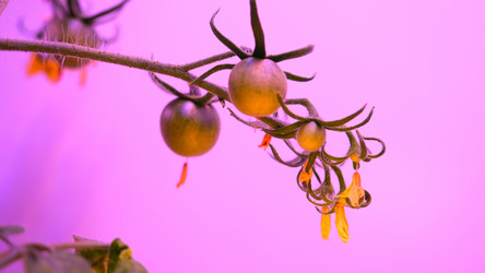 Similar image 21388616