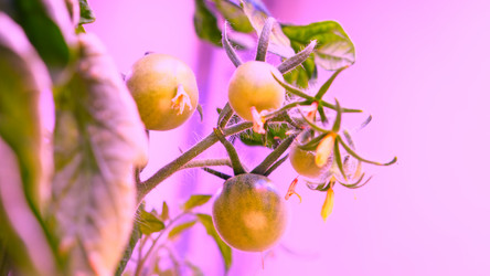 Similar image 21388617