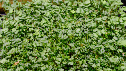 Similar image 21388618