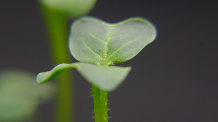 Similar image 21388619