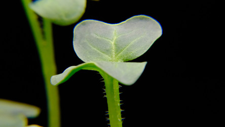 Similar image 21388620