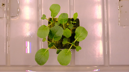 Similar image 21388621