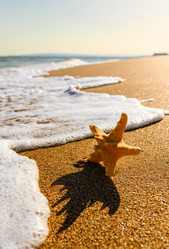 Similar image 21417529