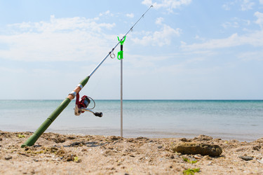 Similar image 21407465