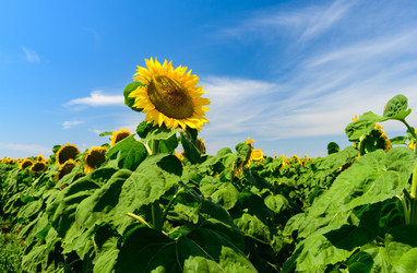 Similar image 21421746