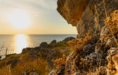 Similar image 21425646