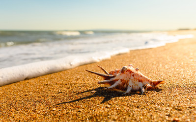 Similar image 21399175