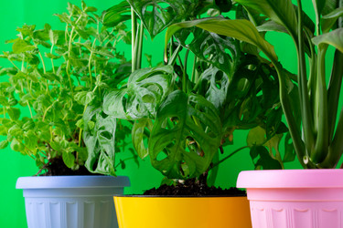 Similar image 21383186