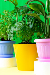 Similar image 21383188