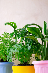 Similar image 21383189