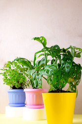 Similar image 21383190