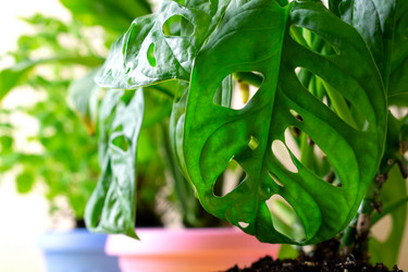 Similar image 21383191