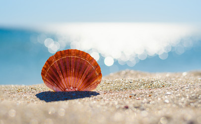 Similar image 21416358