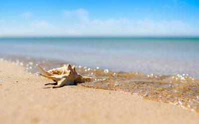 Similar image 21421747