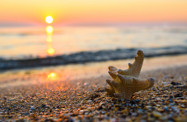 Similar image 21421748