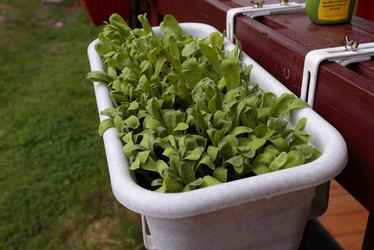 Similar image 21382130