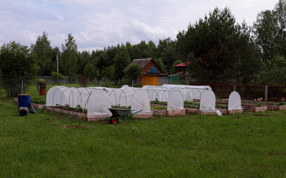 Similar image 21382131