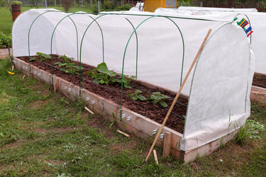 Similar image 21382132