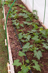 Similar image 21382133