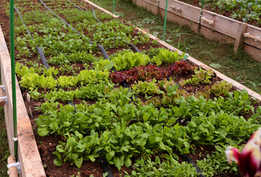 Similar image 21382134